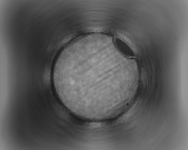 X0000094220394200711161853