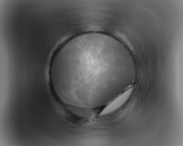 X0000094220395200711161853