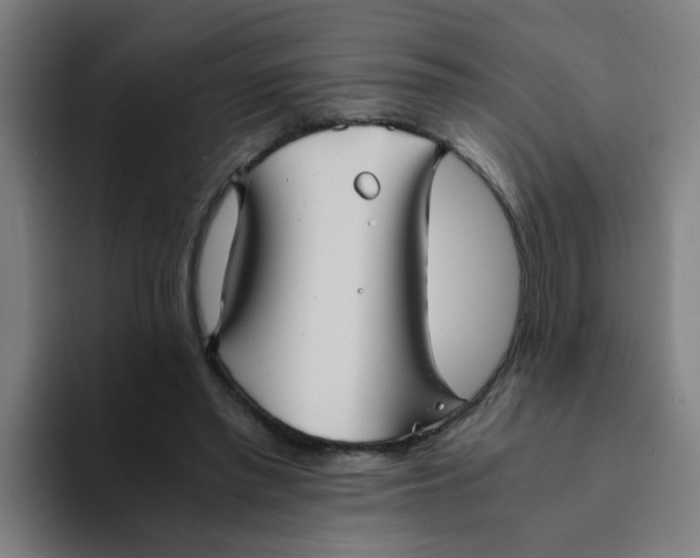 X0000094220397200711161853