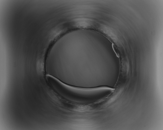 X0000094220399200711161853