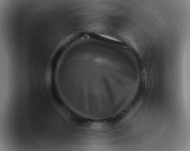 X0000094220400200711161853