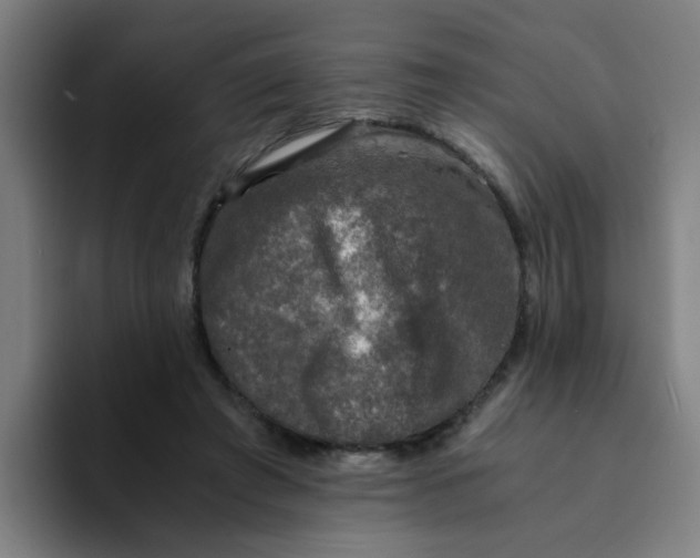 X0000094220401200711161853