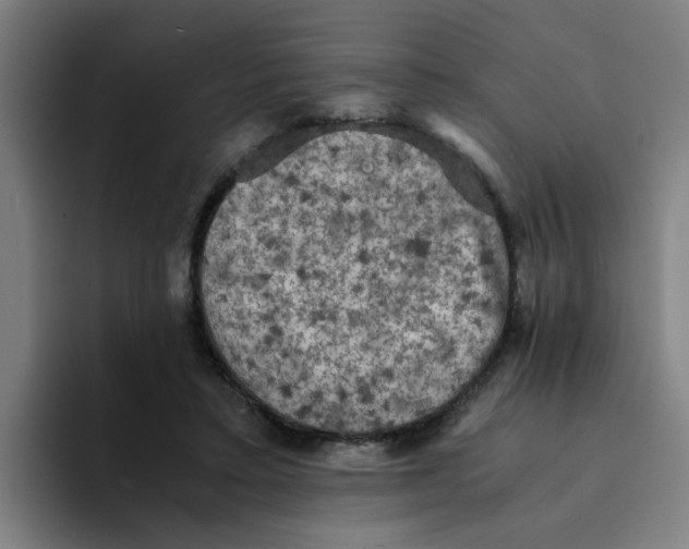 X0000094220403200711161853