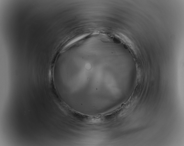 X0000094220405200711161853