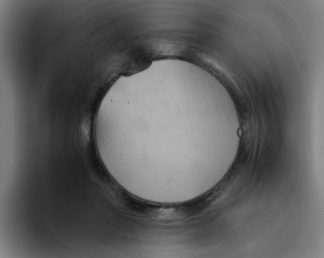 X0000094220406200711161853