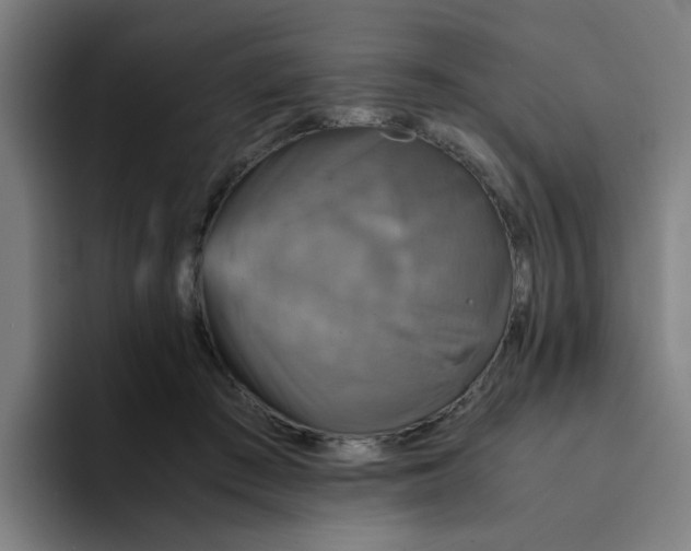 X0000094220409200711161853