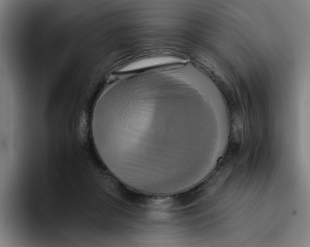 X0000094220410200711161853