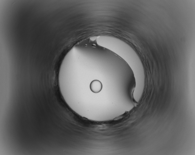 X0000094220411200711161853