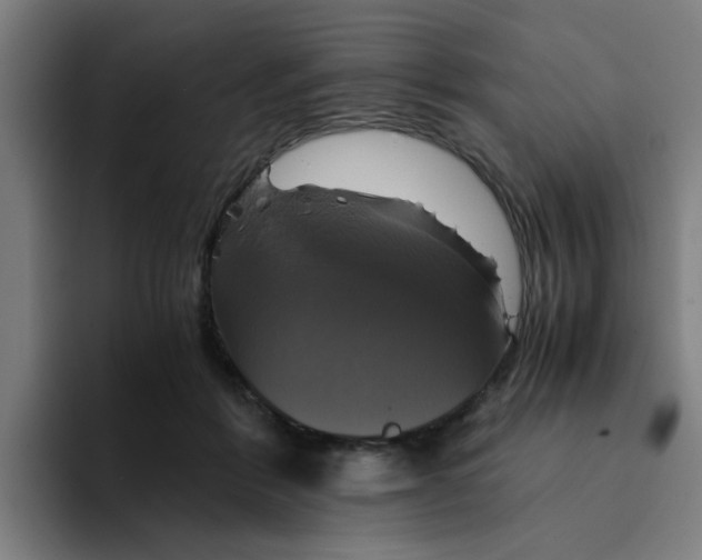 X0000094220412200711161853