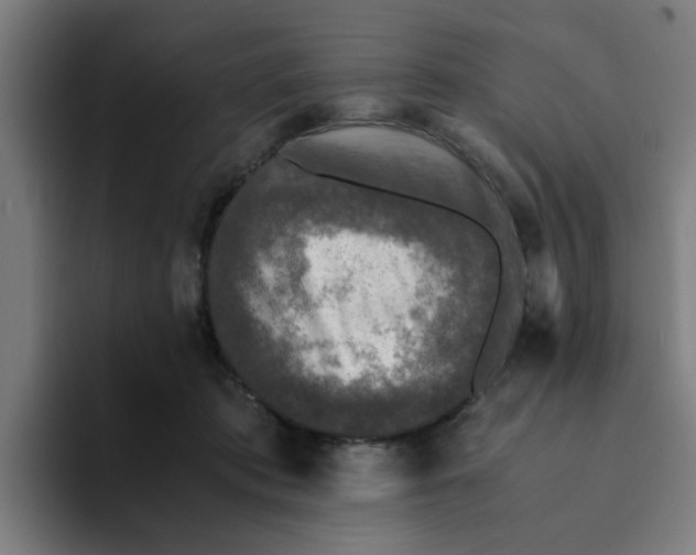 X0000094220413200711161853