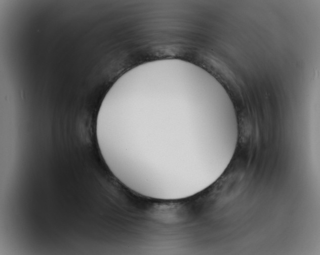 X0000094220414200711161853