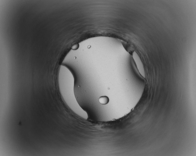 X0000094220415200711161853