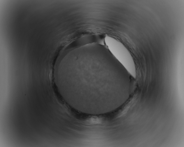 X0000094220416200711161853