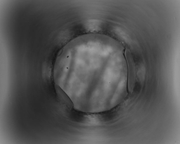 X0000094220417200711161853