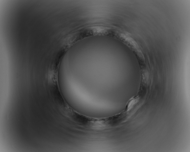 X0000094220419200711161853