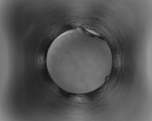 X0000094220420200711161853