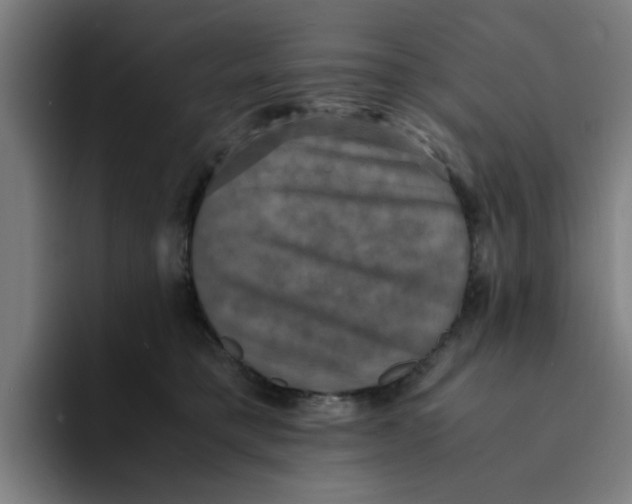 X0000094220421200711161853