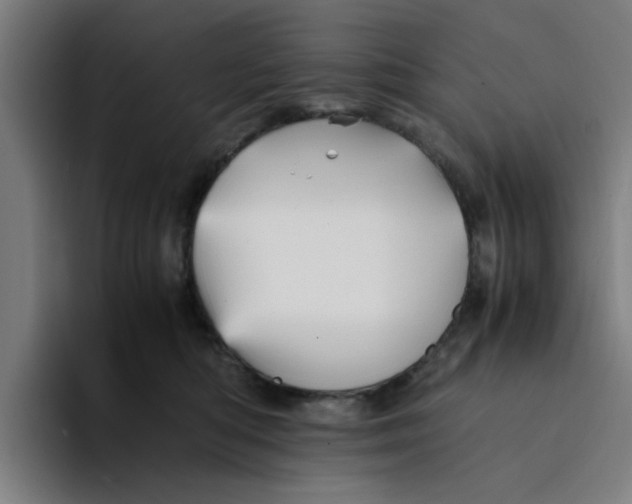 X0000094220422200711161853