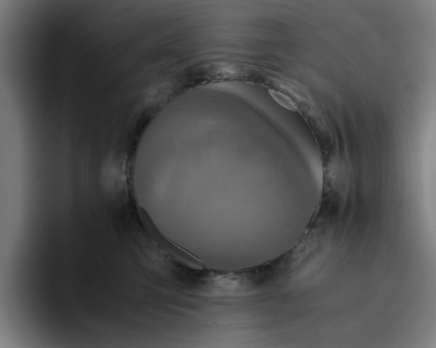 X0000094220423200711161853