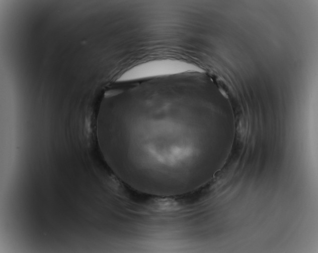 X0000094220424200711161853