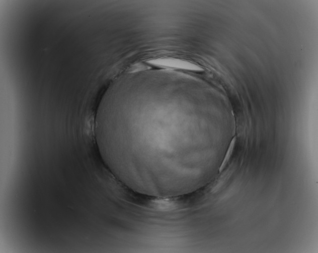 X0000094220425200711161853