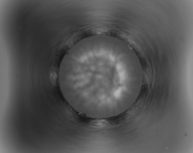 X0000094220427200711161852