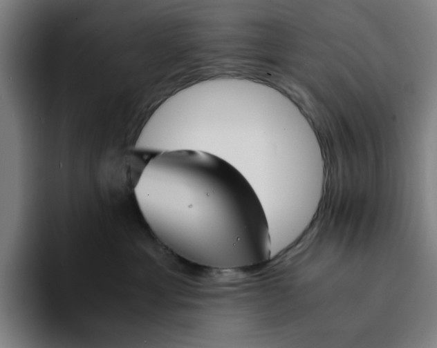 X0000094220429200711161852