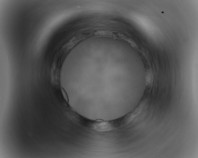 X0000094220431200711161852