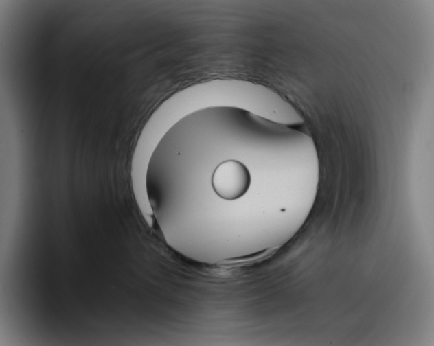 X0000094220432200711161852