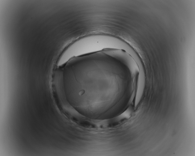 X0000094220434200711161852