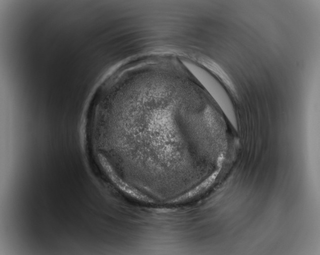 X0000094220436200711161852