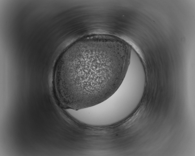 X0000094220437200711161852