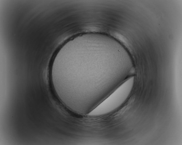 X0000094220439200711161852