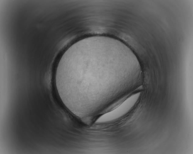 X0000094220440200711161852