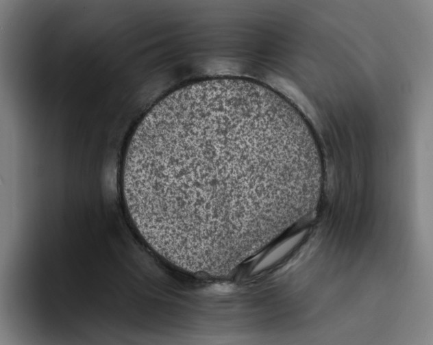 X0000094220441200711161852