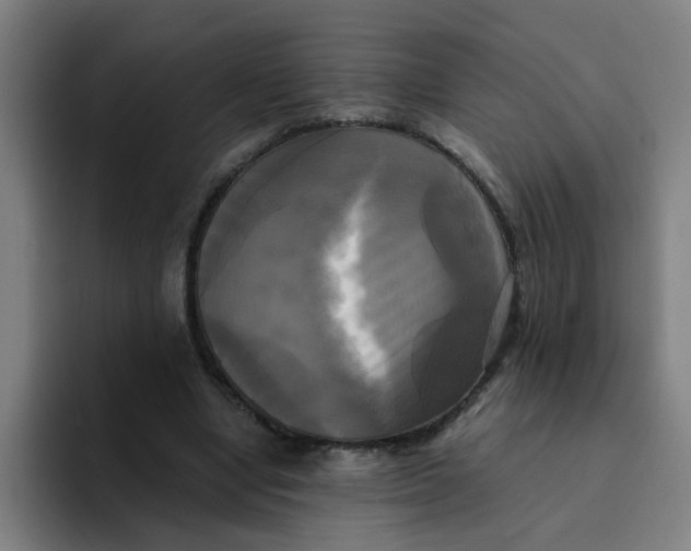 X0000094220442200711161852