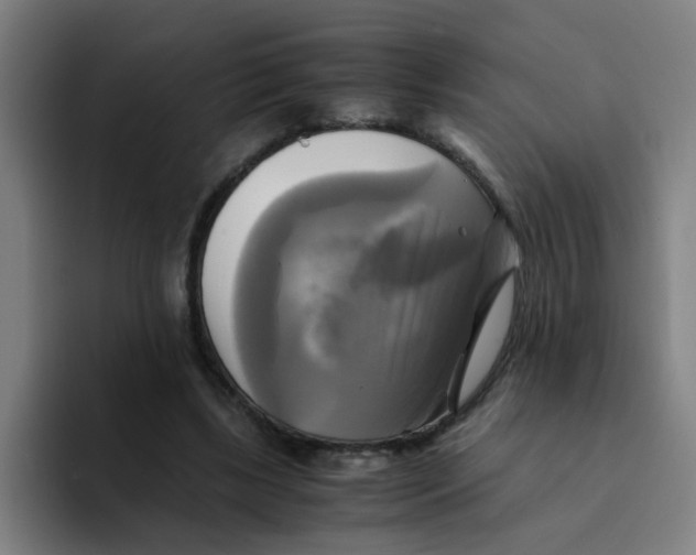 X0000094220443200711161852