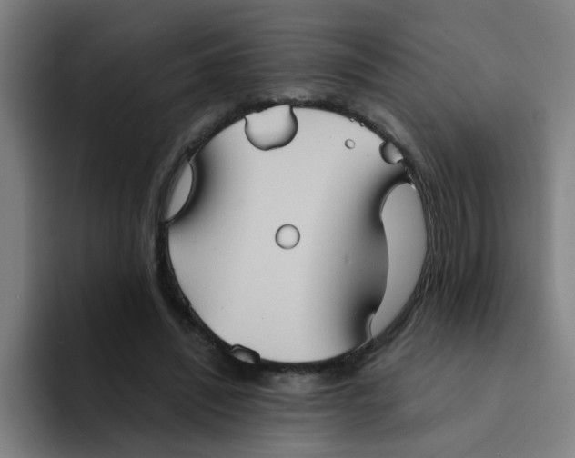 X0000094220444200711161852