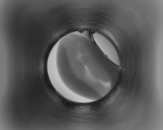 X0000094220447200711161852