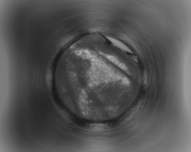 X0000094220448200711161852