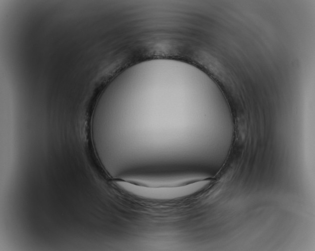 X0000094220450200711161852