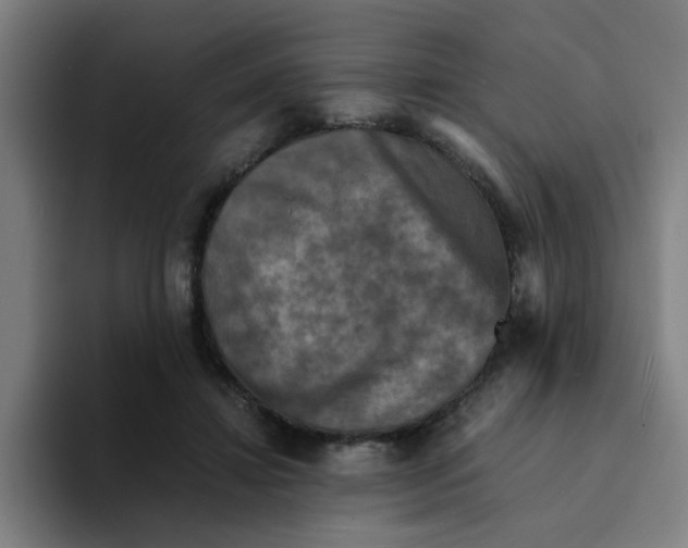 X0000094220452200711161852