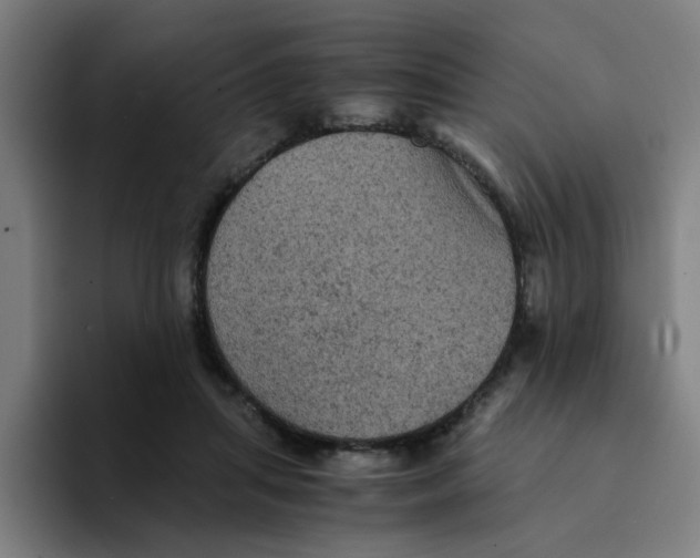 X0000094220455200711161852