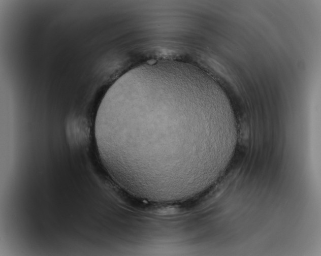 X0000094220456200711161852