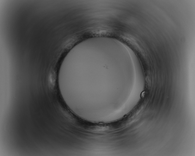 X0000094220458200711161852