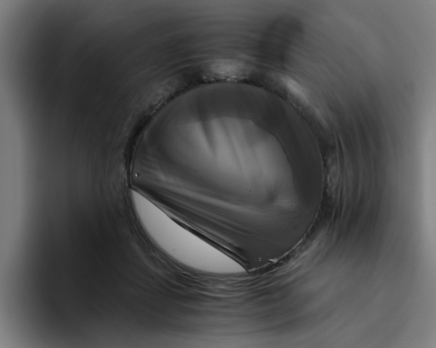 X0000094220459200711161852