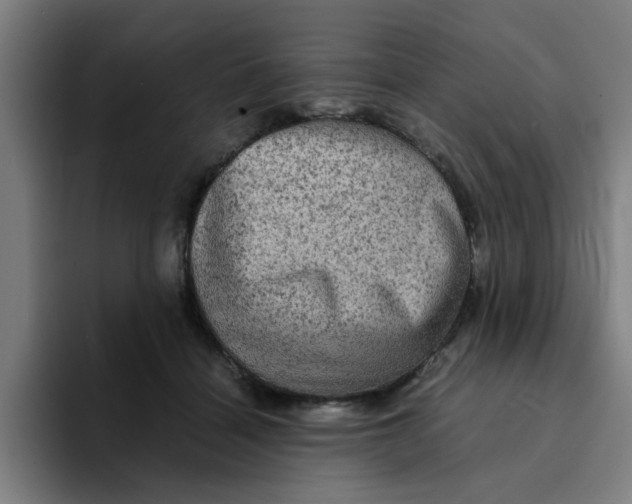 X0000094220460200711161852