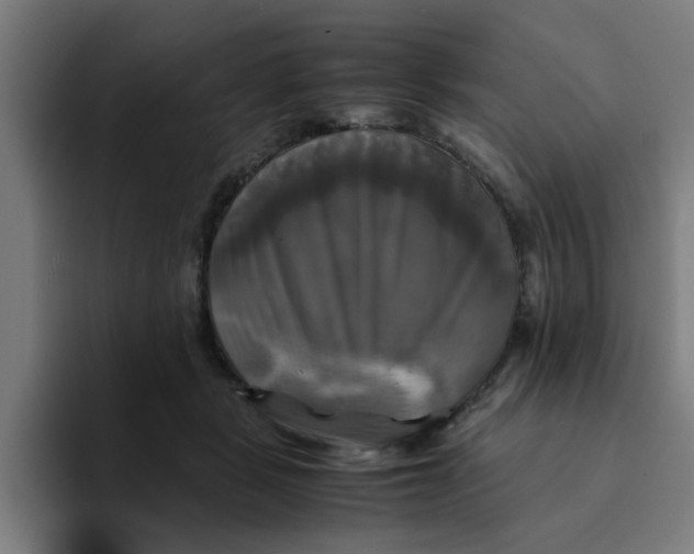 X0000094220461200711161852