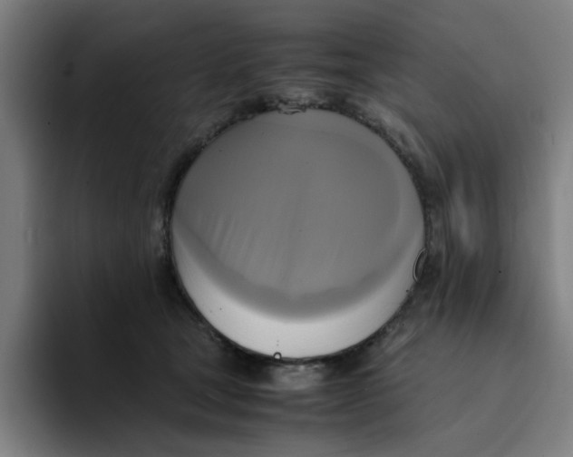 X0000094220465200711161852