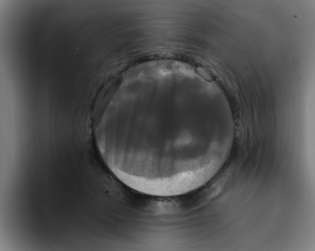 X0000094220466200711161852